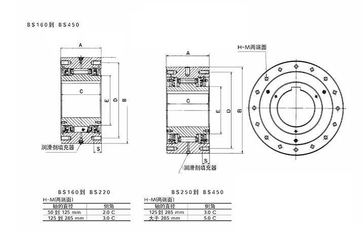 BS滾柱逆止器結(jié)構(gòu)圖